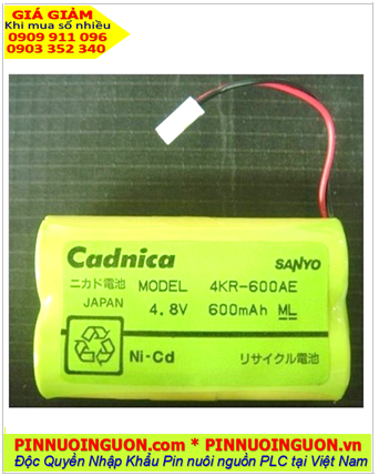 Pin nuôi nguồn YAMAHA Sanyo 4KR-600AE Cadnica 4.8V 600mAh (4.8vAA600mAh)